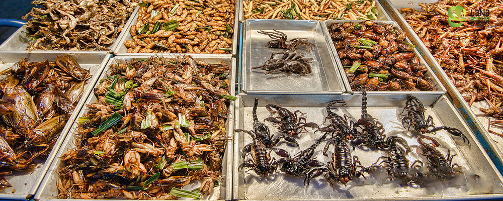 Culinary of Cambodia